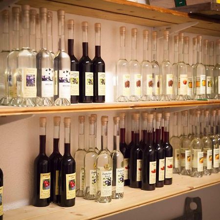 Weinbau Pronegg Vlg. Krainz Apartment Лейтшах Екстериор снимка