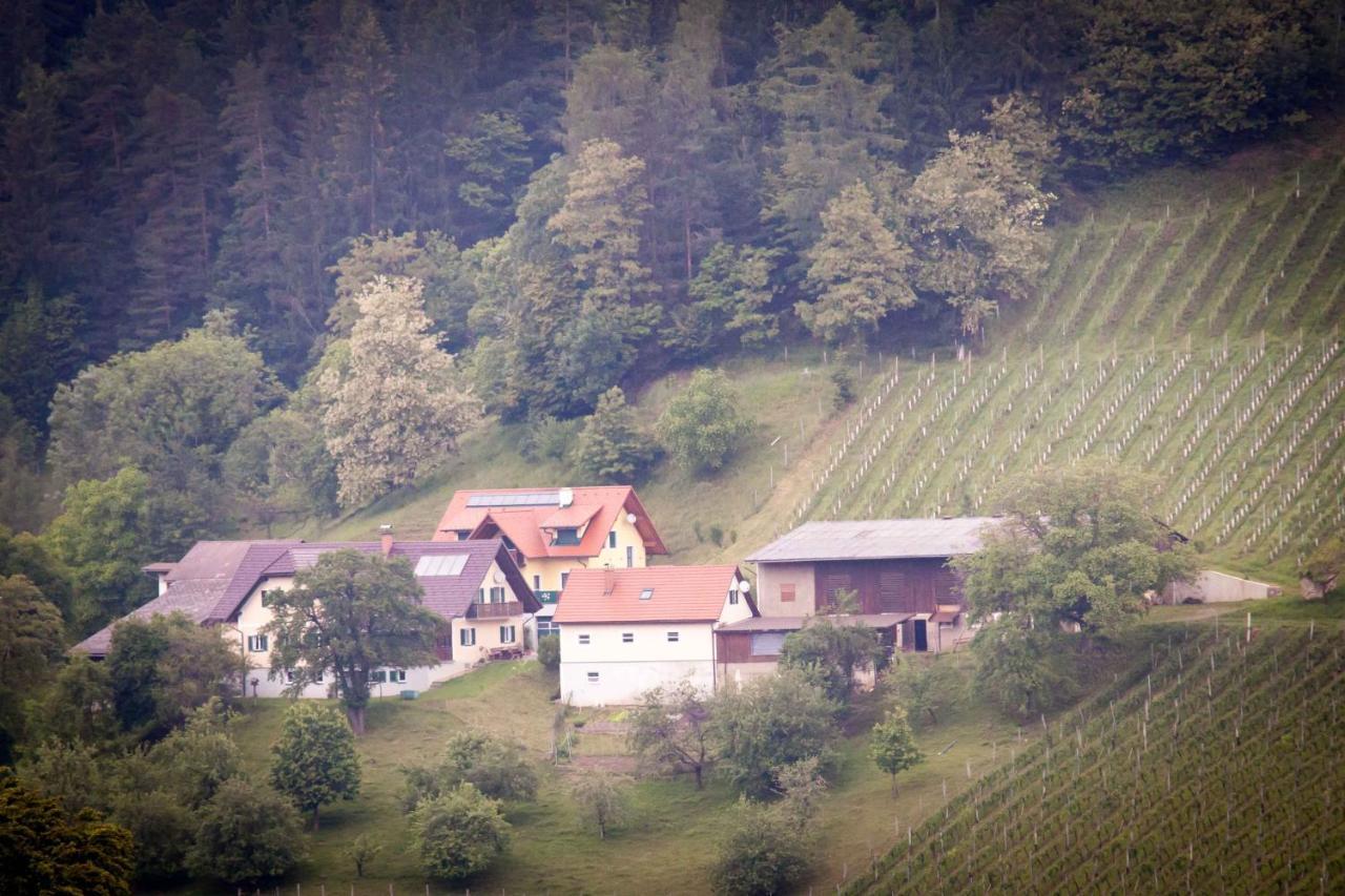 Weinbau Pronegg Vlg. Krainz Apartment Лейтшах Екстериор снимка